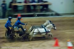 20140309-horsefair2014-078