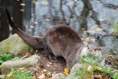 20081019-korkeasaari-002