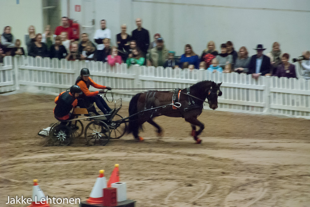 You are currently viewing Horse Fair 2014