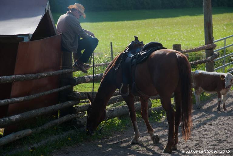 Read more about the article Dan James ja Kentucky Reining Cup Freestyle 2014