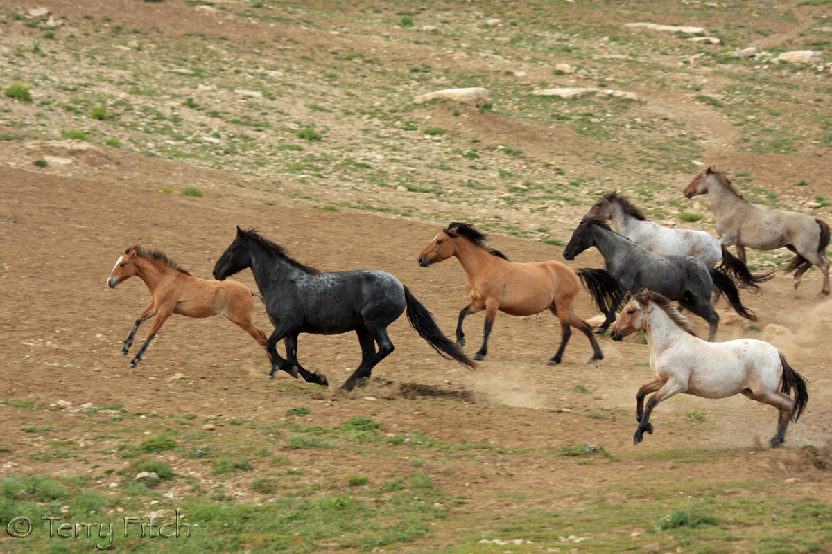 You are currently viewing Mustang makeover